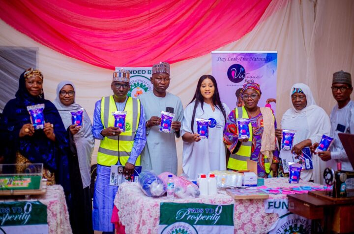 Virtuous Reusable Pads